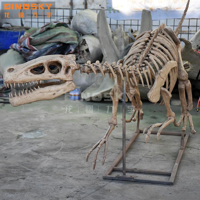 نموذج هيكل عظمي ديناصور رابتور - مراجعة Science Exhibition Models وسعره
